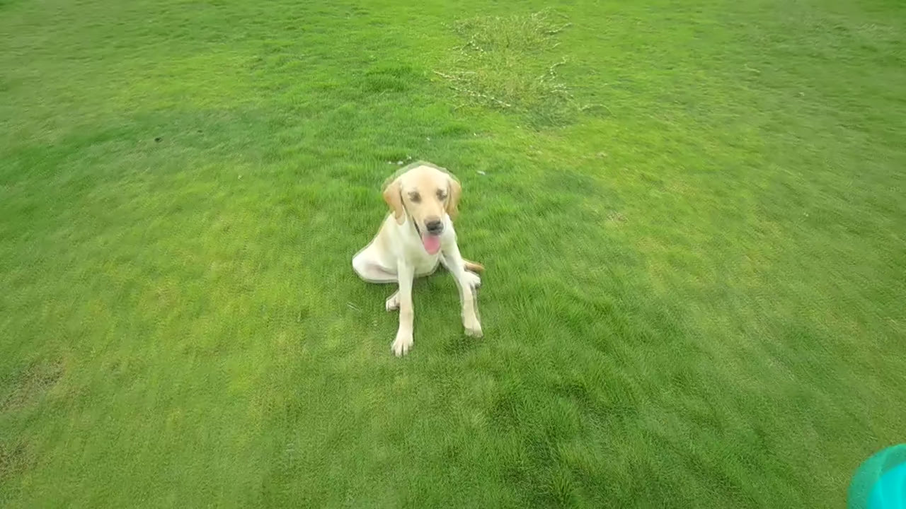 Load video: 
